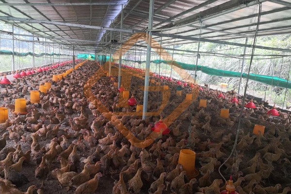 廢棄菌糠發(fā)酵做有機肥的方法和步驟，顆粒狀菌糠有機肥生產線有哪些配置