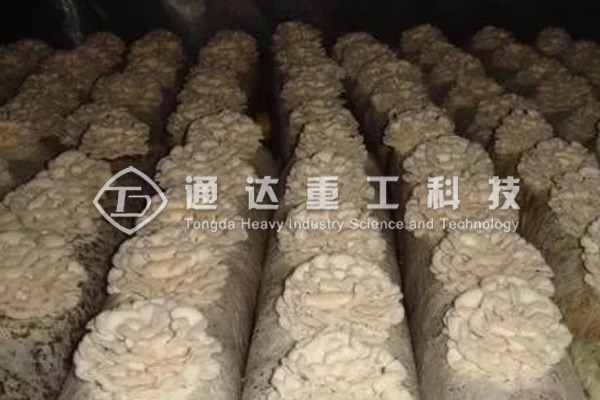 廢棄菌糠發(fā)酵做有機肥的方法和步驟，顆粒狀菌糠有機肥生產線有哪些配置